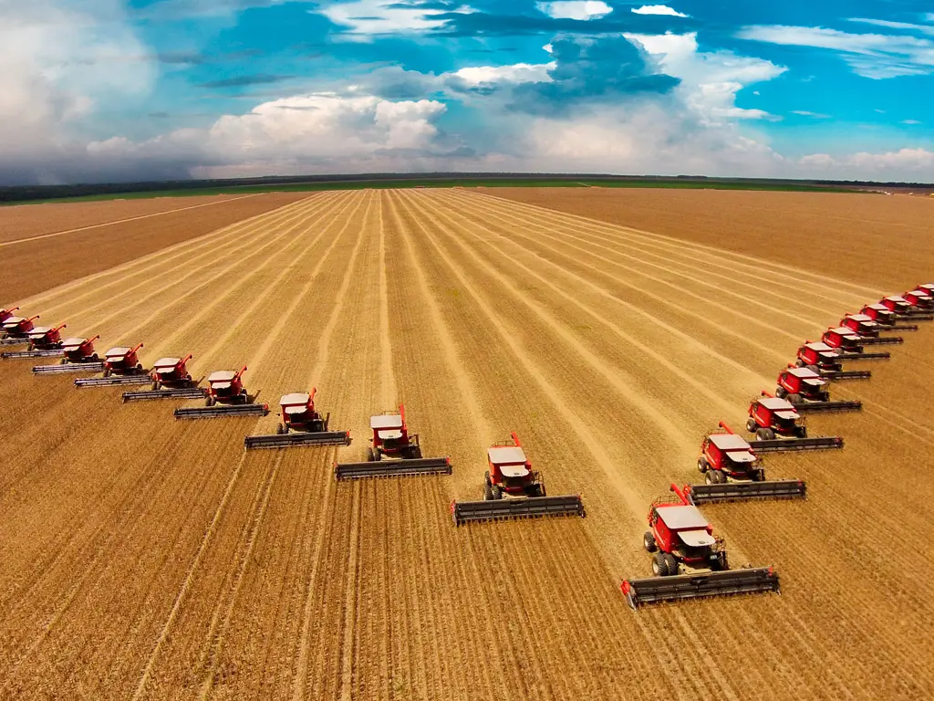 Portal da Produtividade - Mato Grosso atinge recorde de produtividade