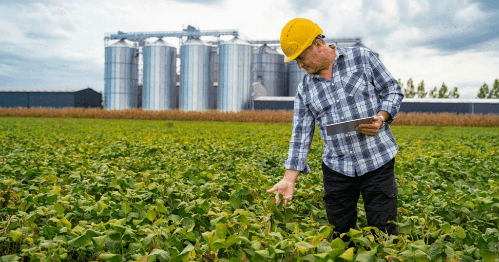Portal da Produtividade - Agro Brasileiro Alcança Novo Patamar Empregatício em 2024