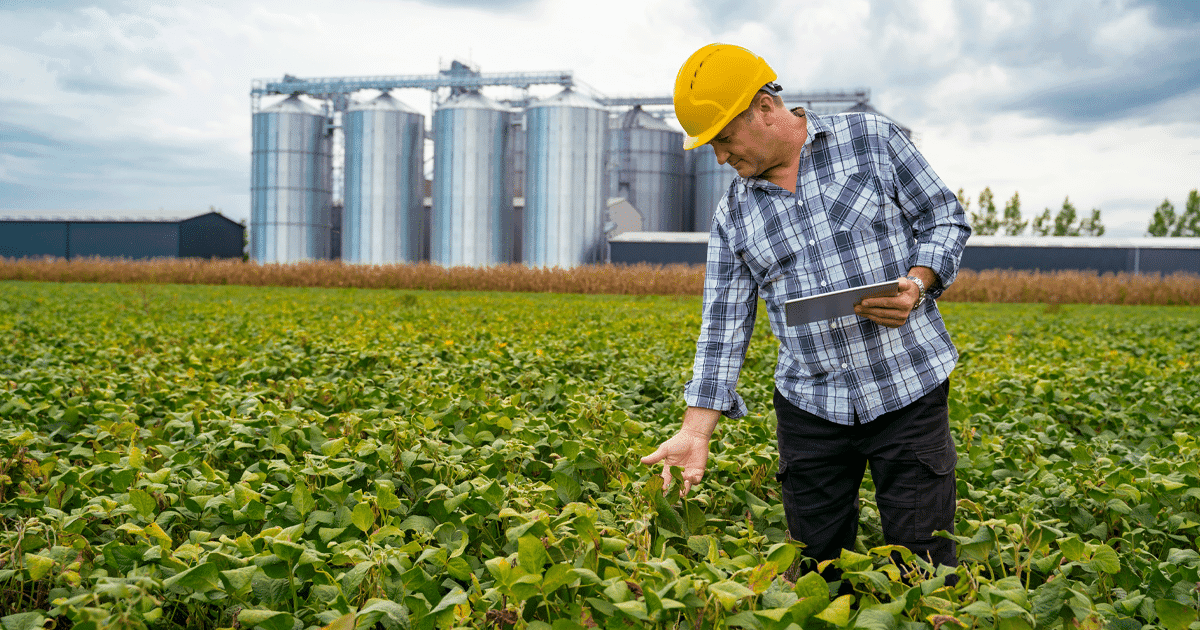 Portal da Produtividade - Agro Brasileiro Alcança Novo Patamar Empregatício em 2024